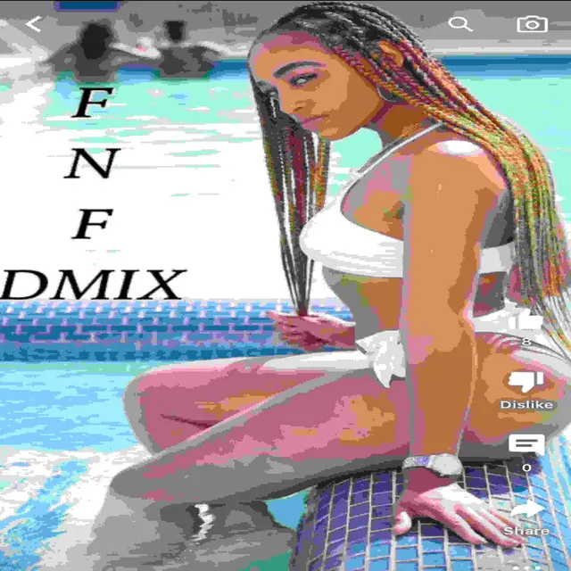 FNF DMix