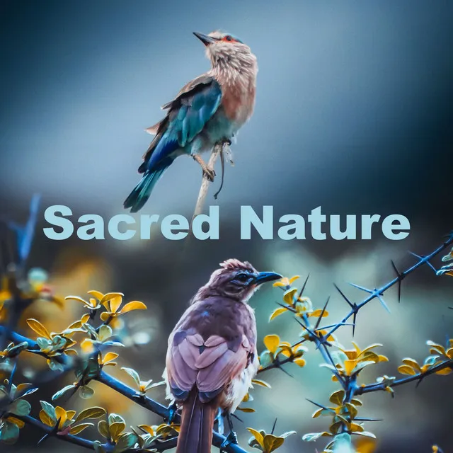 Sacred Nature