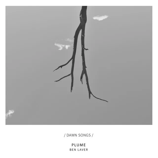 Plume