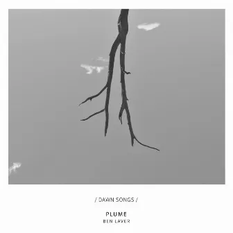 Plume by Ben Laver