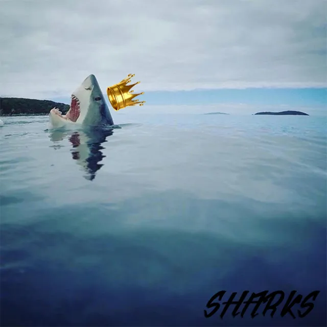 Sharks