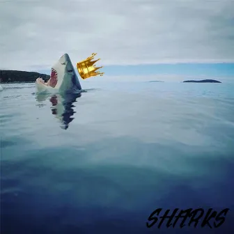 Sharks by Pay Simba