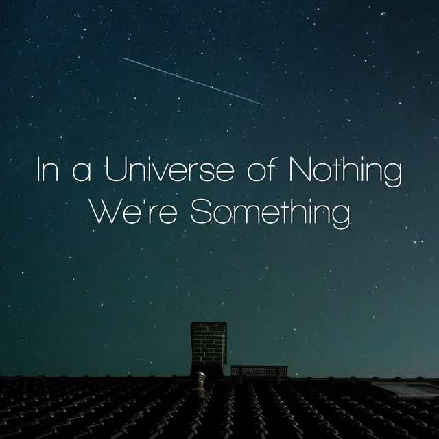 In a Universe of Nothing, We're Something