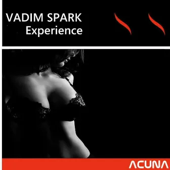 Experience by Vadim Spark