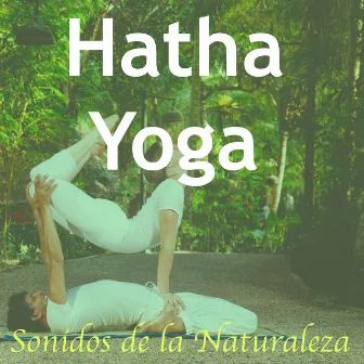 Música para Posiciones de Hatha Yoga: Sonidos de la Naturaleza para Calmar la Mente y el Alma y Hacer Meditaciòn Zen by Unknown Artist