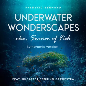 Underwater Wonderscapes Aka. Swarm of Fish (Symphonic Version) by Frederic Bernard