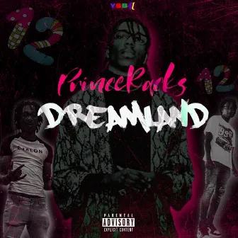 DreamLand by Prince racks