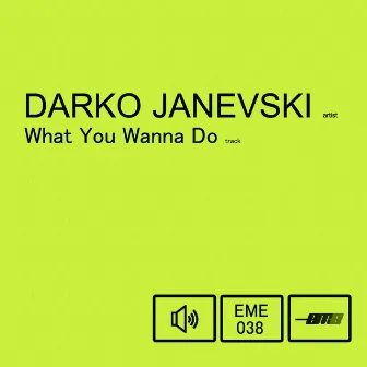 What You Wanna Do - Single by Darko Janevski