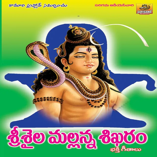 Srisaila Mallanna Shikharam