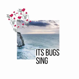 Its Bugs Sing by Tranquil Ocean Waves Music