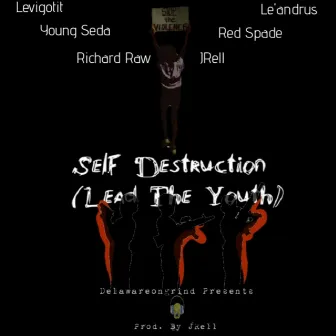 Self Destruction LTY by Delawareongrind