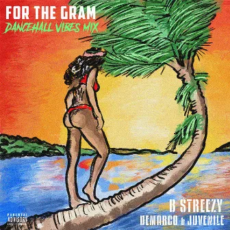 FOR THE GRAM (Dancehall Vibes Mix) by B Streezy