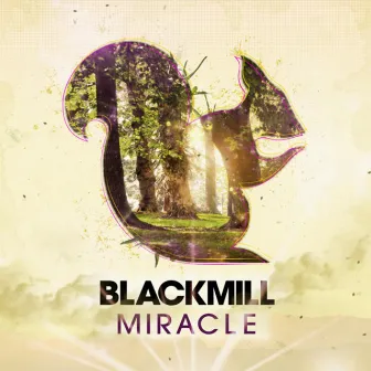 Miracle by Blackmill