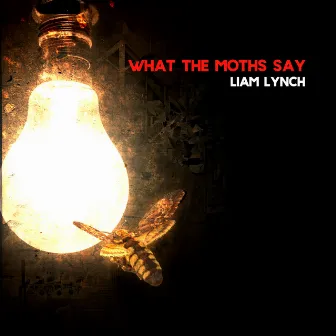 What The Moths Say by Liam Lynch