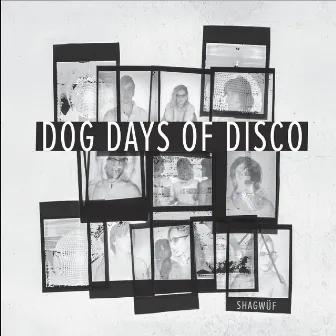 Dog Days of Disco by Shagwüf