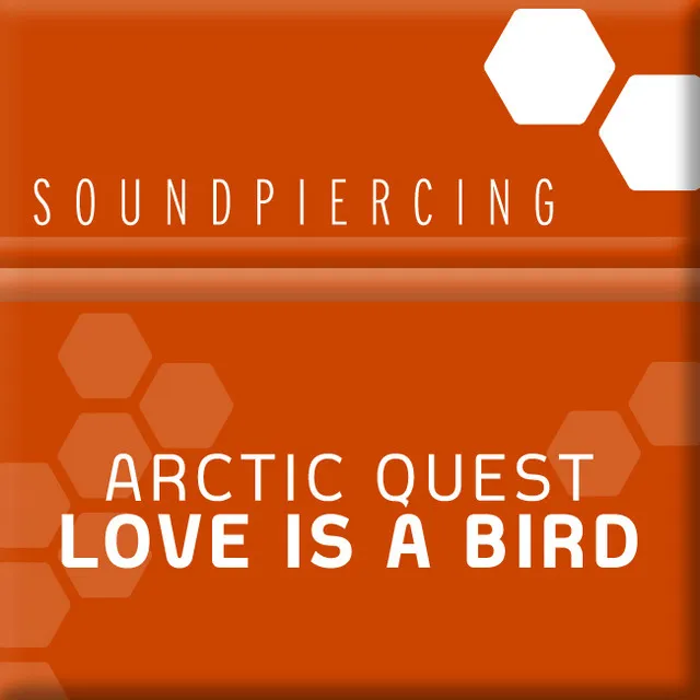 Love Is A Bird - Tech Mix