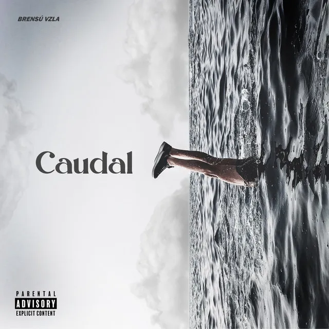 Caudal