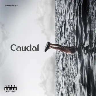 Caudal by Brensú Vzla