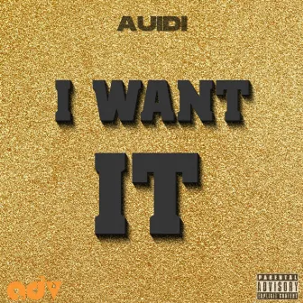 I Want It by Auidi