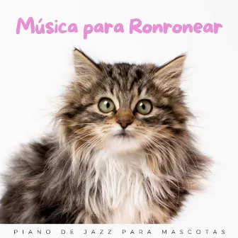 Música Para Ronronear: Piano De Jazz Para Mascotas by Relajante Jazz Instrumental Café