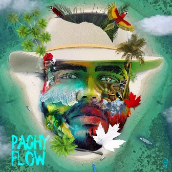 Island Flow by Pachy Flow