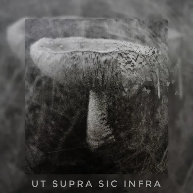 UT SUPRA, SIC INFRA