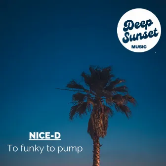 To funky to pump by Nice-D