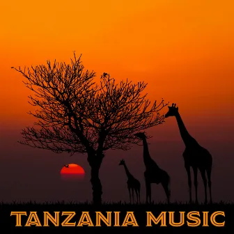 Tanzania Music: African Drumming by Native World Group