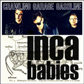 Crawling Garage Gasoline by Inca Babies