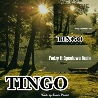 Tingo by Fodzy