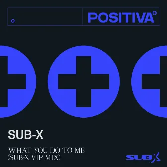 What You Do To Me (SUB-X VIP Mix) by SUB-X