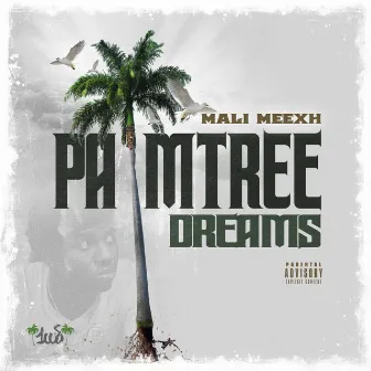 Palmtree Dreams by Mali Meexh