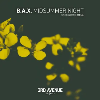 Midsummer Night by B.A.X.