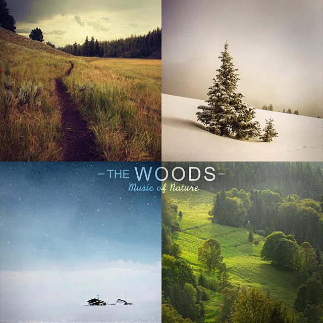 The Woods (Nature Sounds, Birds, Rain, Thunderstorm, Brook, Forest, Ocean Waves, Crickets, Peaceful, Lullaby, Sleep, Sleeping, Sound Effects, Royalty Free Sfx)