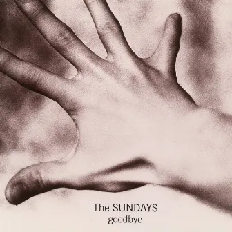 Goodbye by The Sundays