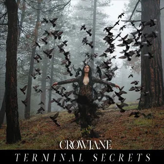 Terminal Secrets by Unknown Artist