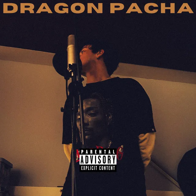 Dragon Pacha