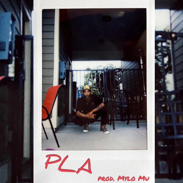 P.L.A.