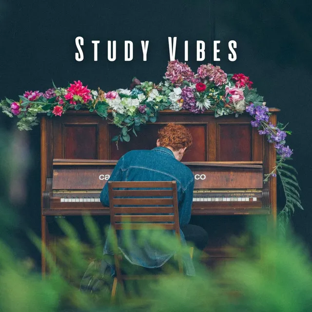 Study Vibes: The Piano Experience