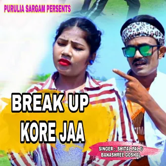 Break Up Kore Ja by 