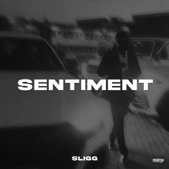 Sentiment by Sligg