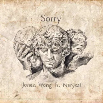 Sorry by Narysal