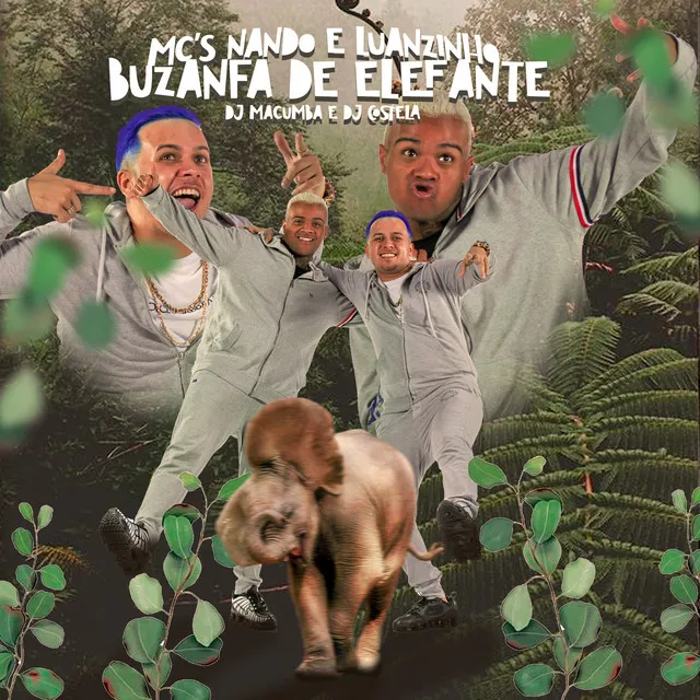 Buzanfa de Elefante