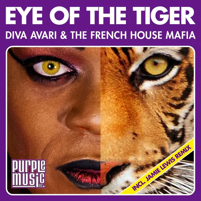 Eye of the Tiger - Disco Radio Mix