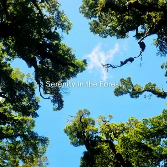 Serenity in the Forest by Wildlife Recordings