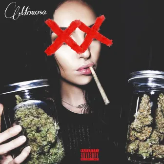 Mimosa by C. Jay Dinero