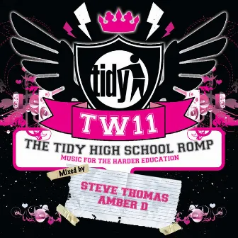 Tidy Weekender 11: The Tidy High School Romp by Steve Thomas