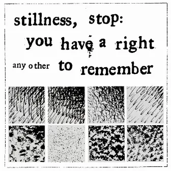 stillness, stop: you have a right to remember by Any Other