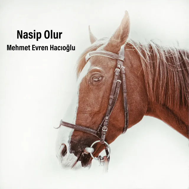 Nasip Olur Amasyaya Varırsan