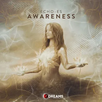 Awareness by Echoes